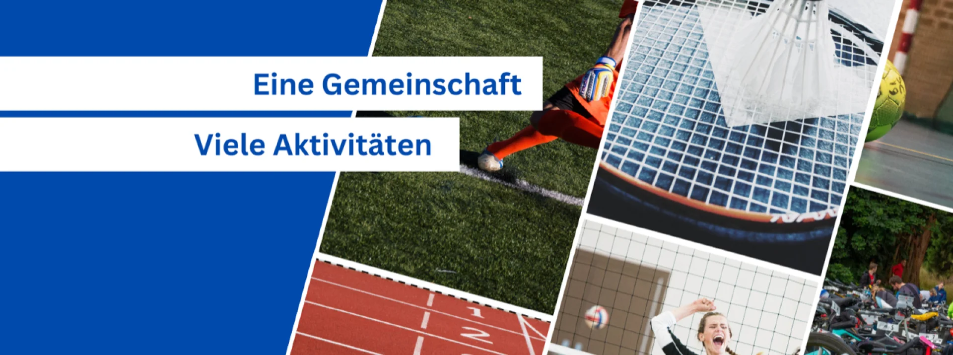 Bannerbild
