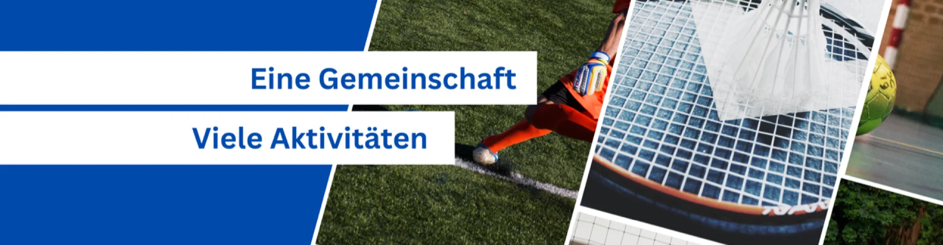 Bannerbild
