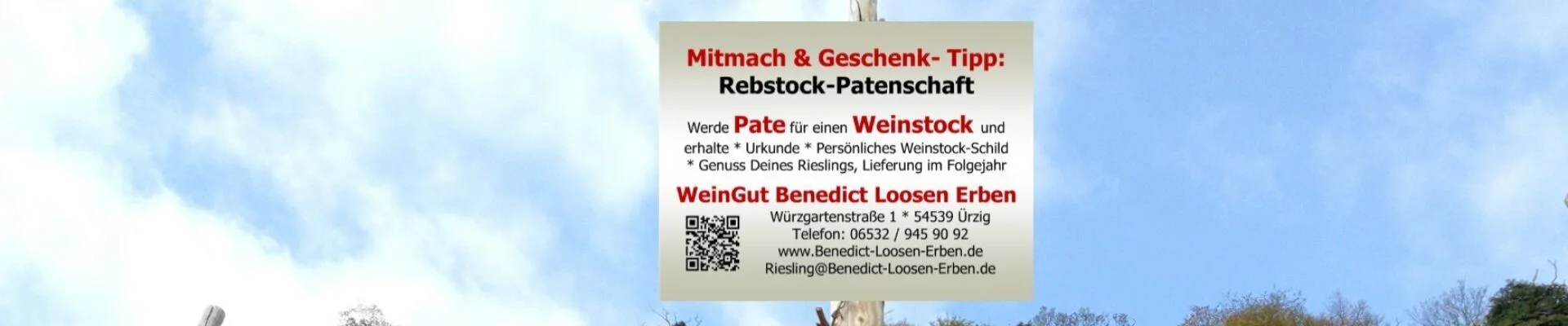 Werde Rebstock-Pate und sei Teil unseres WeinGutes Benedict Loosen Erben