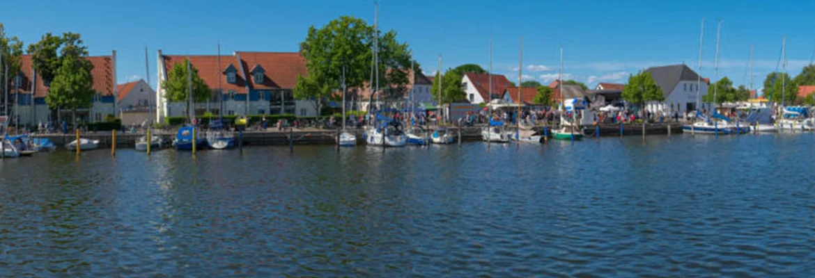 Bannerbild