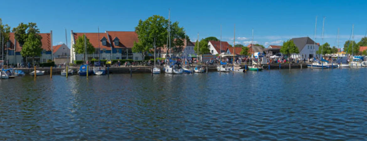 Bannerbild