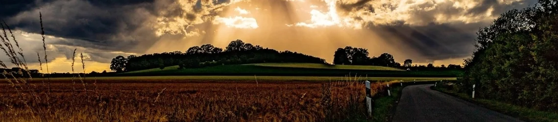 Bannerbild