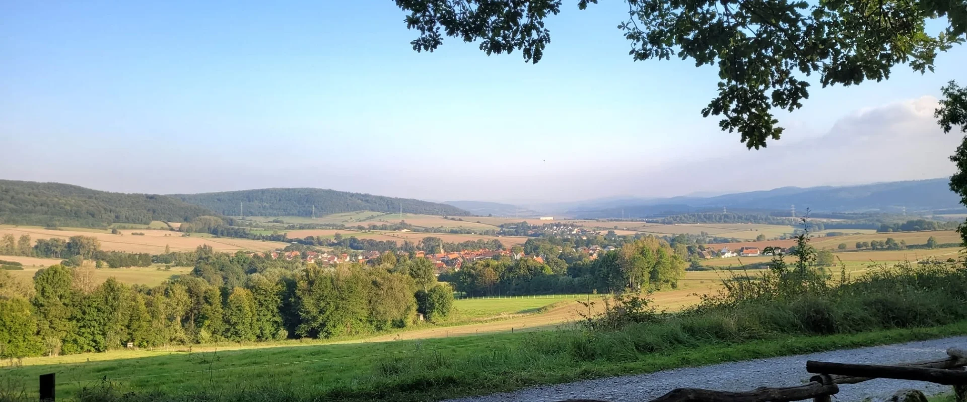 Bannerbild