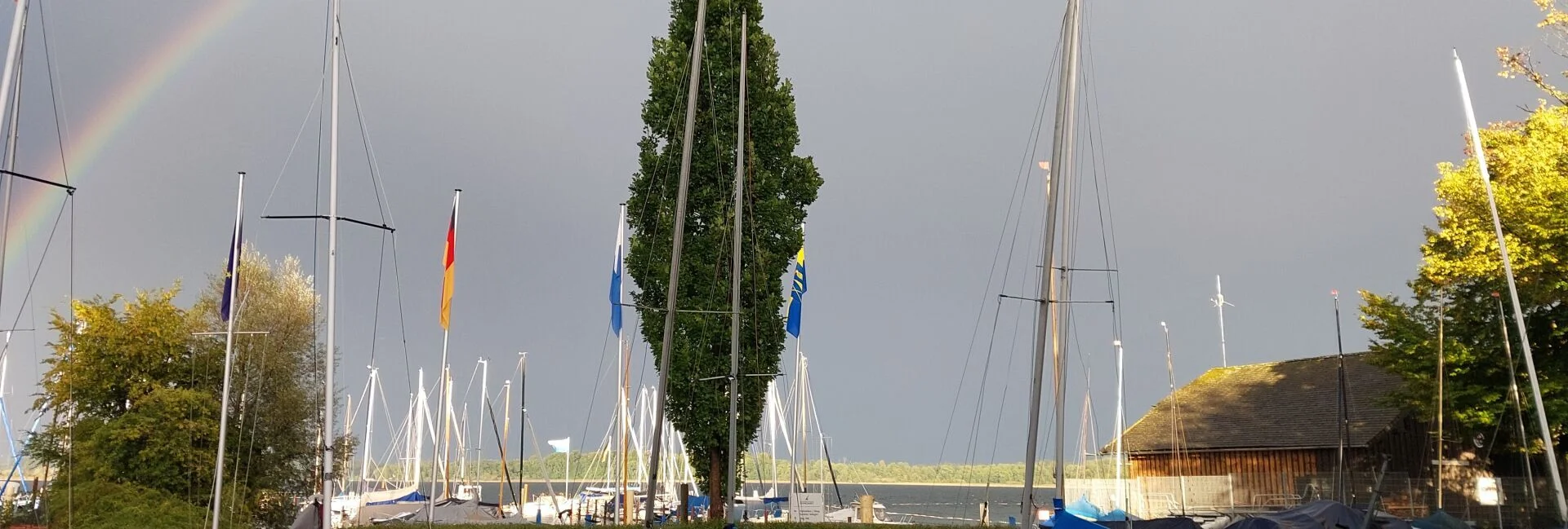 Bannerbild
