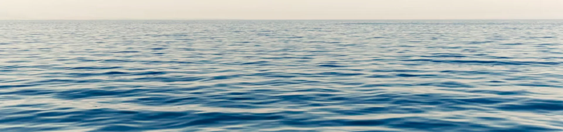 Bannerbild