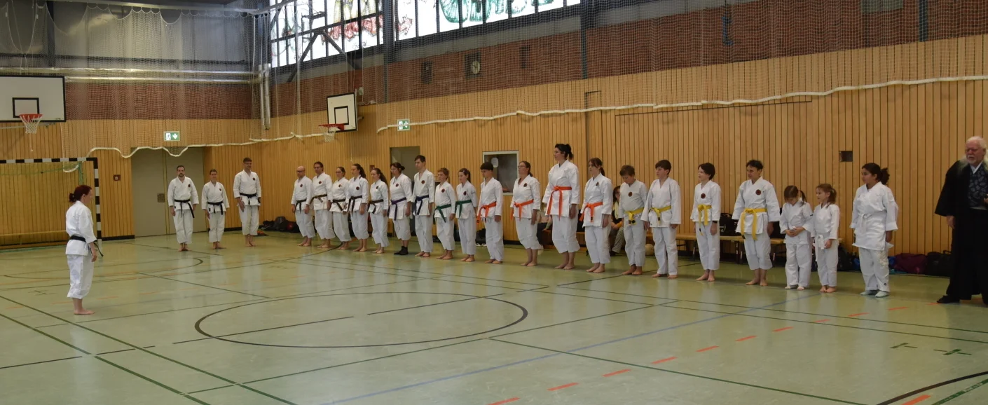 Bannerbild