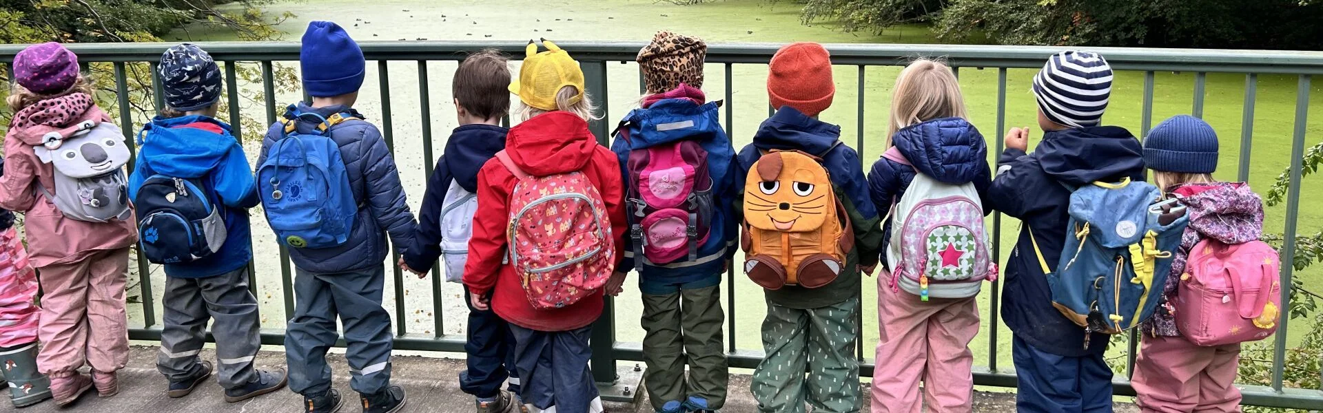 Bannerbild