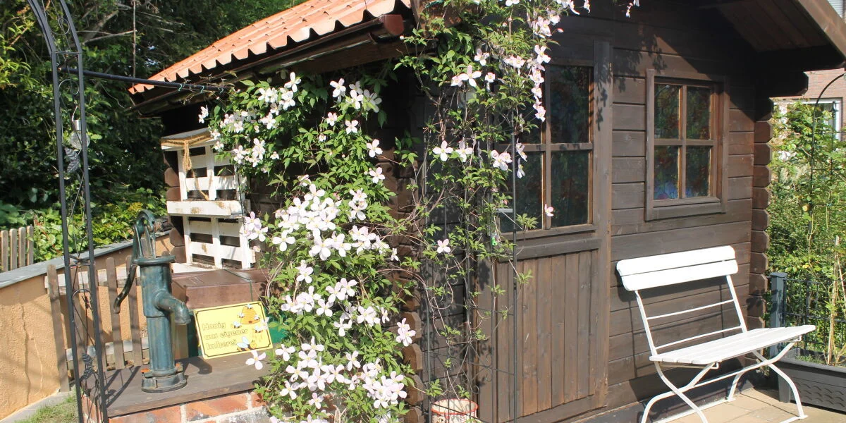 Haus des Bienenfritze