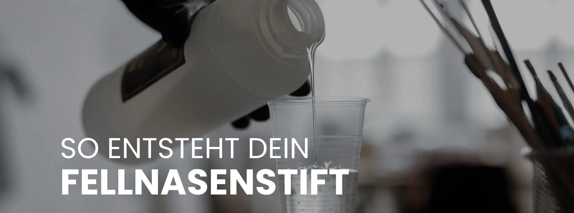 Bannerbild