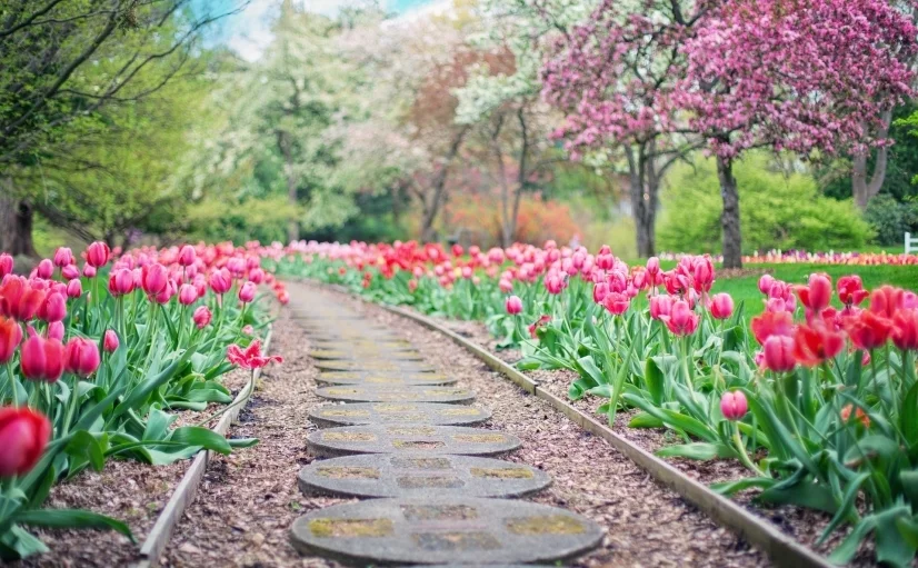 Bannerbild | zur Startseite