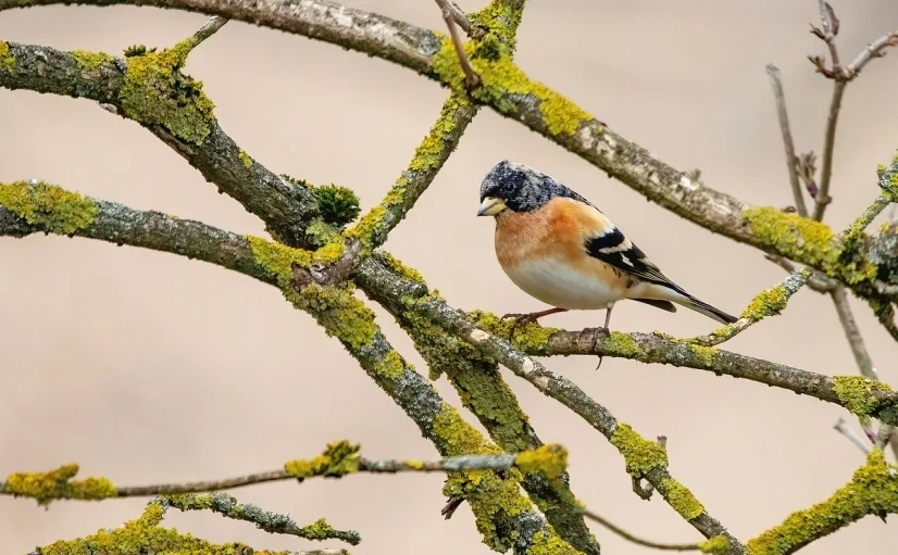 Bannerbild | zur Startseite