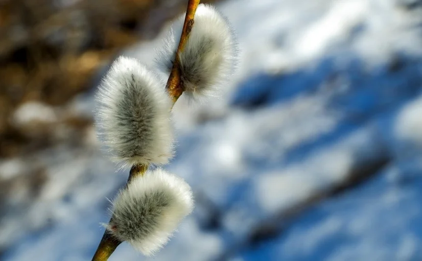 Bannerbild | zur Startseite