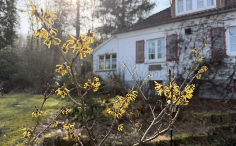 Bannerbild | zur Startseite