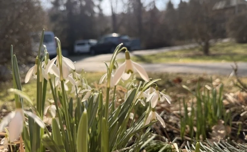 Bannerbild | zur Startseite