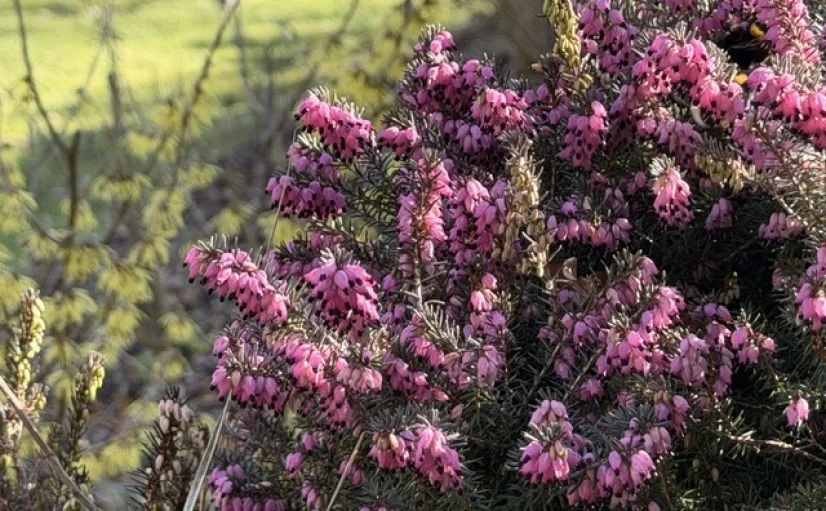 Bannerbild | zur Startseite