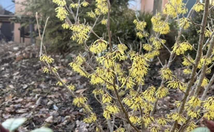 Bannerbild | zur Startseite