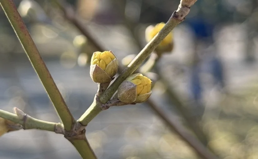 Bannerbild | zur Startseite