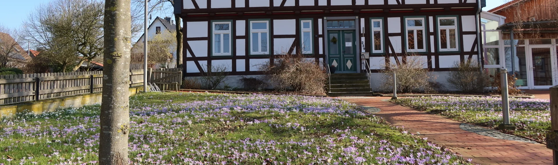 Bannerbild | zur Startseite