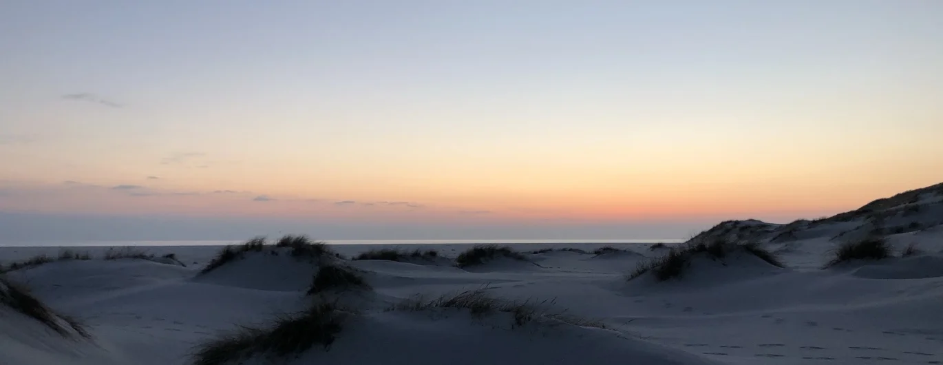 Bannerbild
