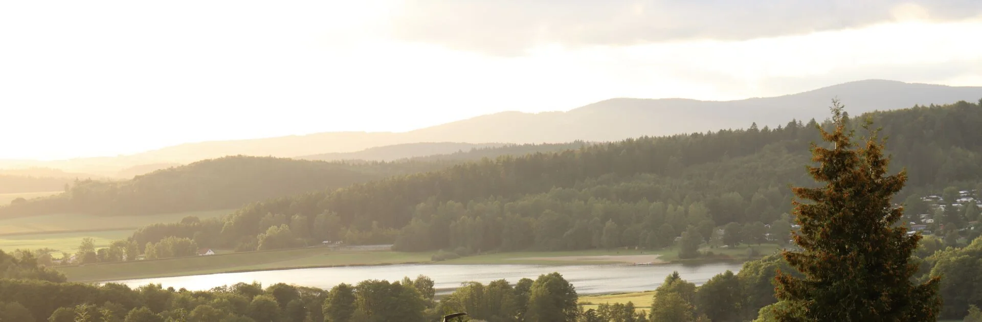 Bannerbild