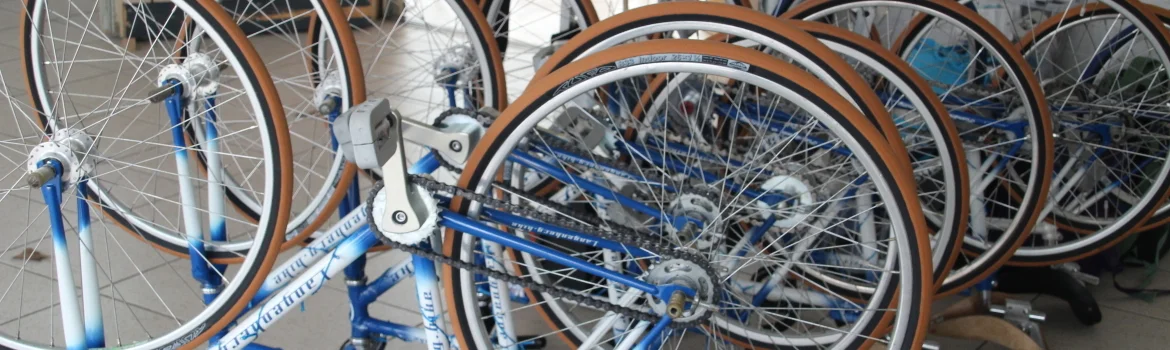 Kunstradfahren | zur Startseite