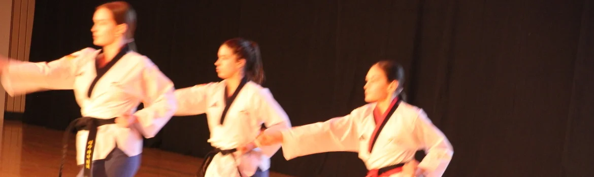 Budo Schule | zur Startseite