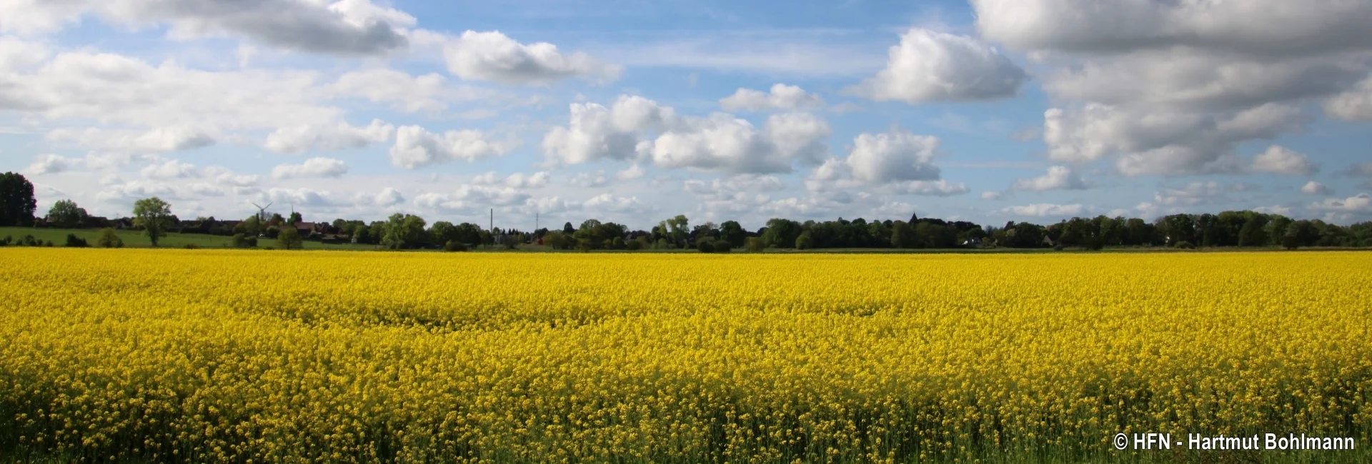 Bannerbild