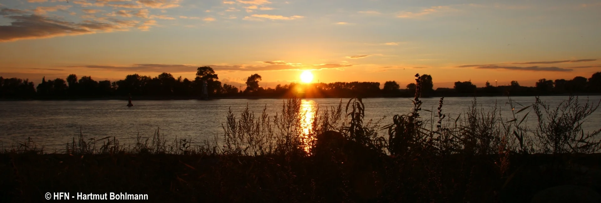 Bannerbild