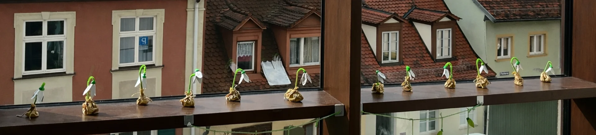 Bannerbild
