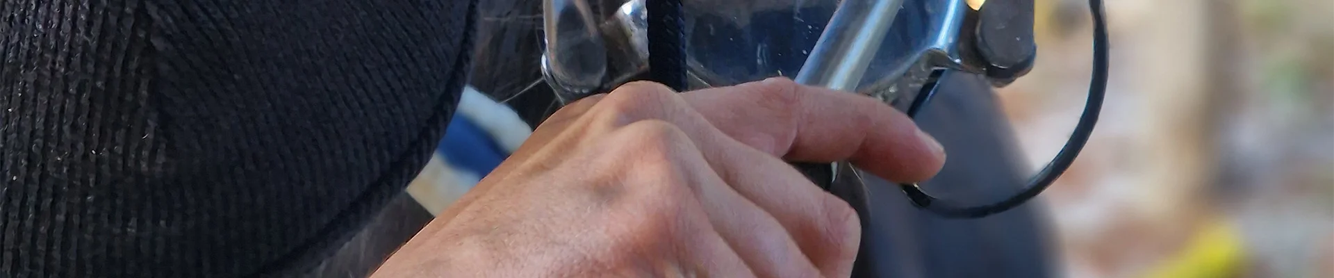 Bannerbild