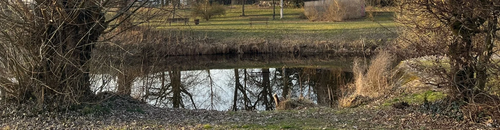 Bannerbild