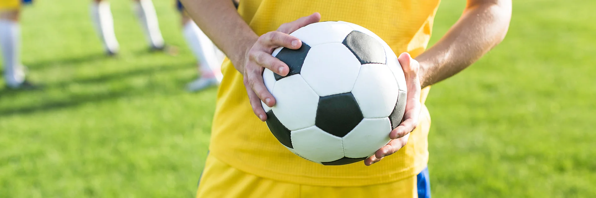 Bannerbild