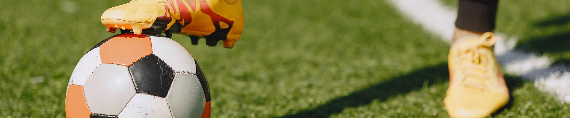 Bannerbild