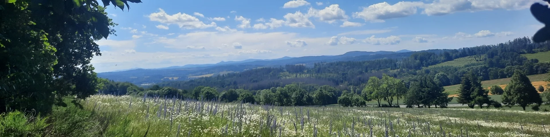 Aussicht Weifaer Höhe 1 (Hubert Höfer)