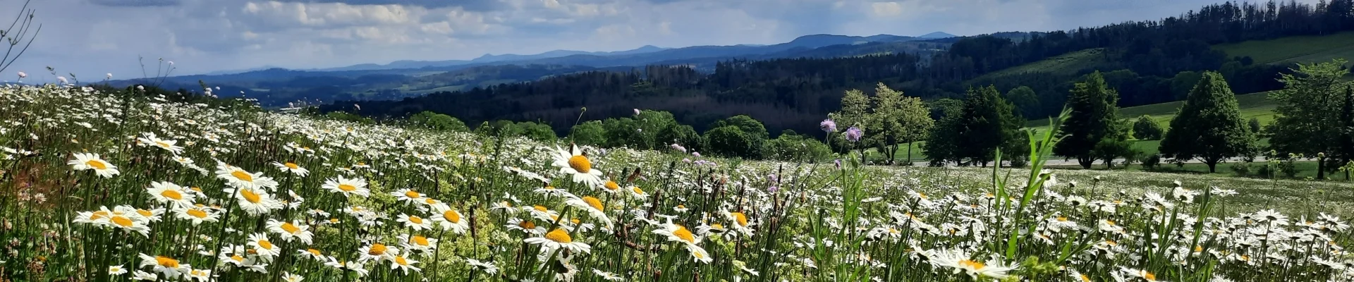 Aussicht Weifaer Höhe 3 (Hubert Höfer)
