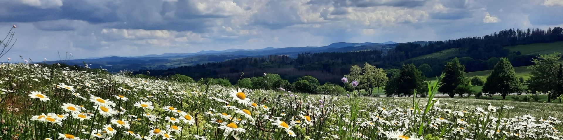 Aussicht Weifaer Höhe 3 (Hubert Höfer)