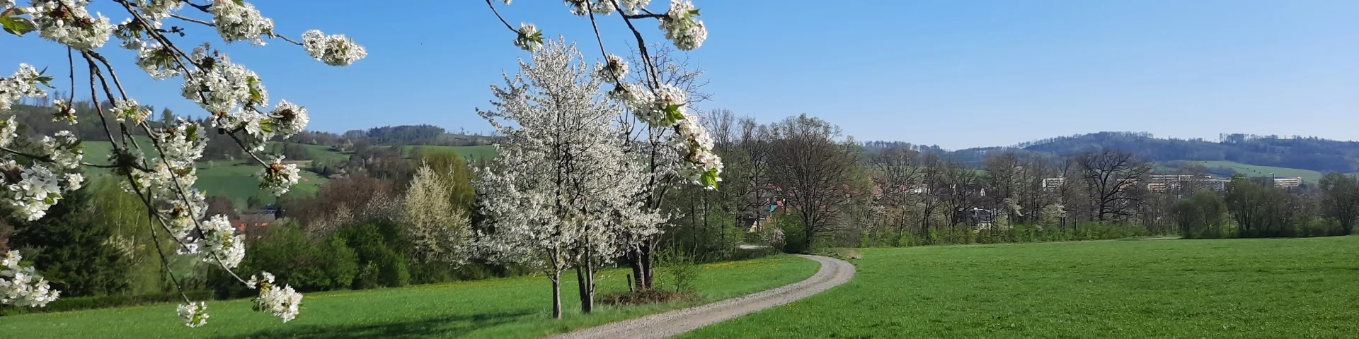 Blick nach Wilthen 1 (Hubert Höfer)