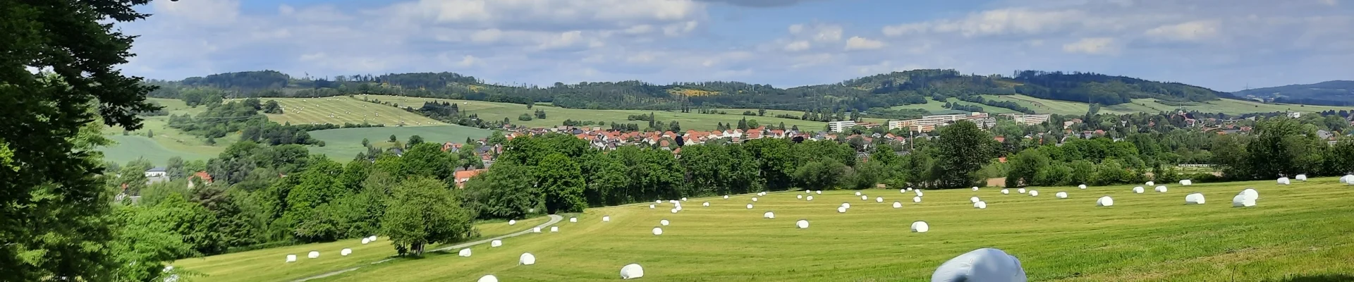Blick nach Wilthen 2 (Hubert Höfer)