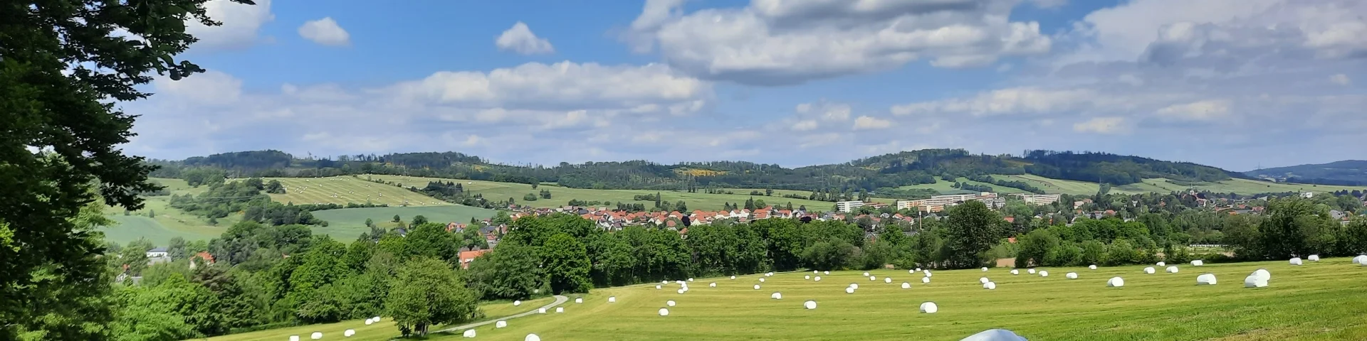 Blick nach Wilthen 2 (Hubert Höfer)