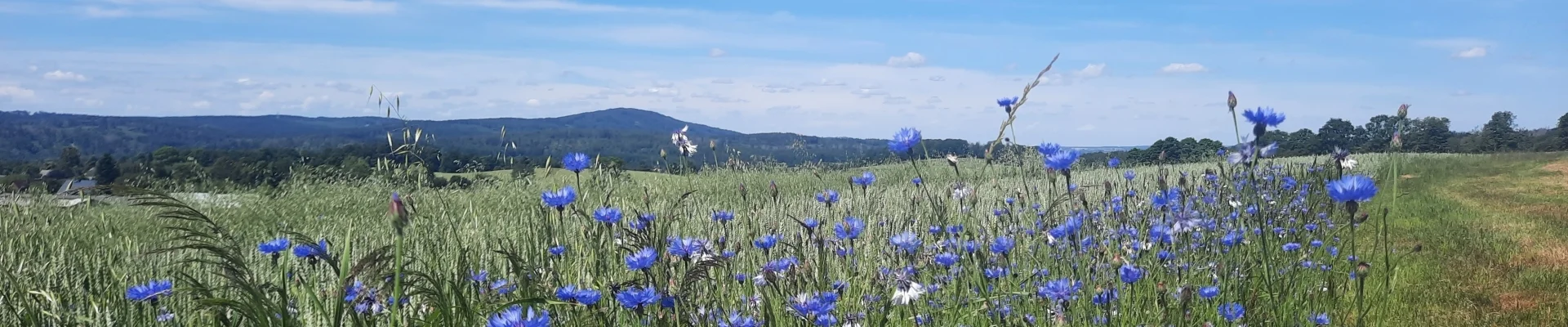 Blick zum Valtenberg (Hubert Höfer)