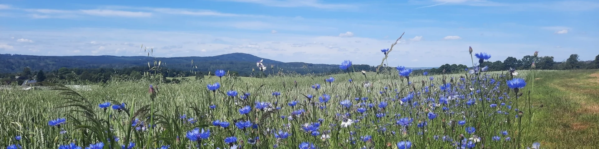 Blick zum Valtenberg (Hubert Höfer)