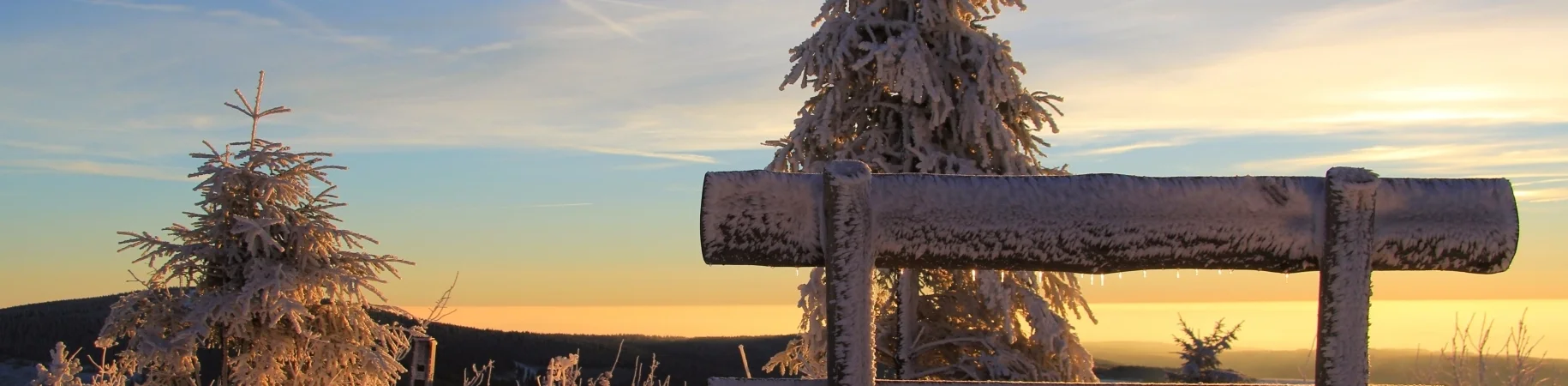 Bannerbild