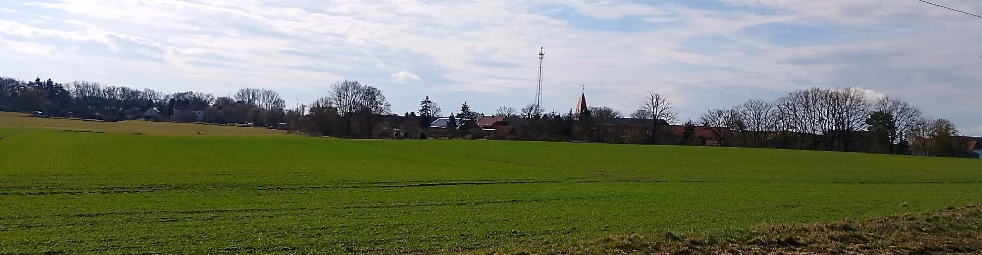 Bannerbild