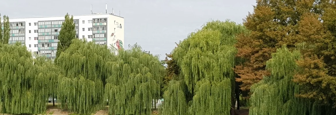 Bannerbild