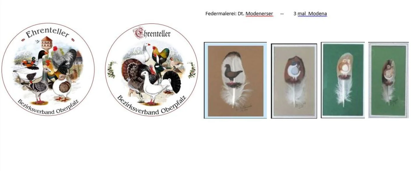 Ehrenteller mit Geflügelmotiven -----  Rassetauben auf Feder gemalt