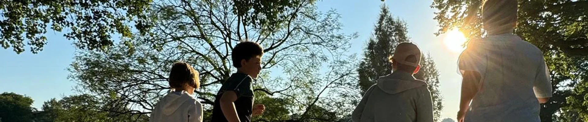 Bannerbild