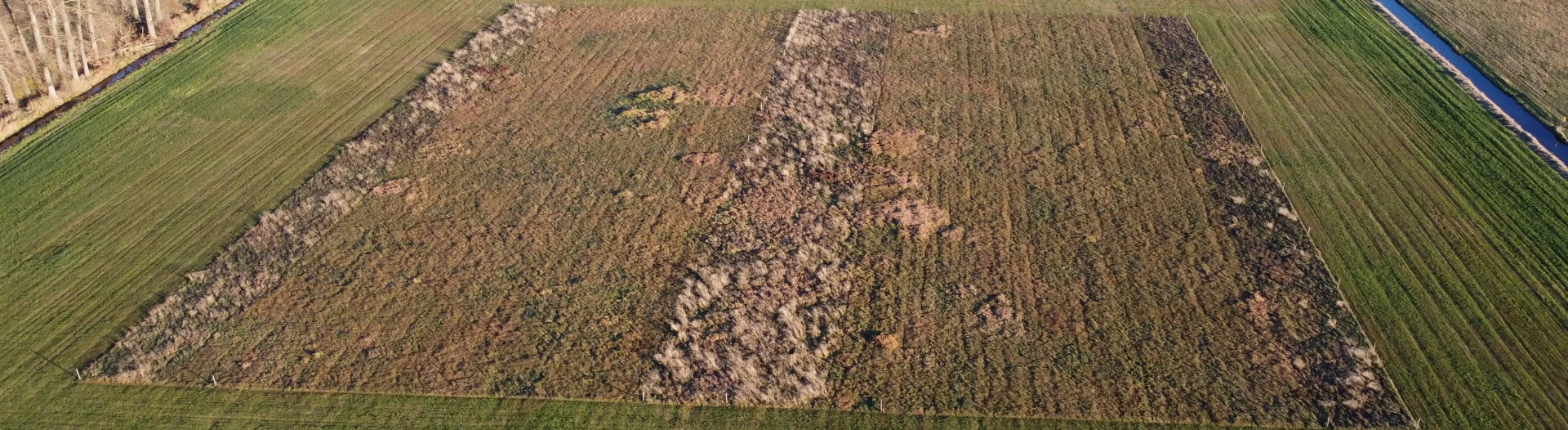 Habitat Braunkehlchen