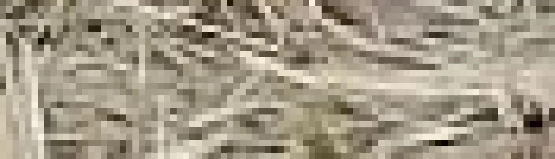 Bannerbild | zur Startseite