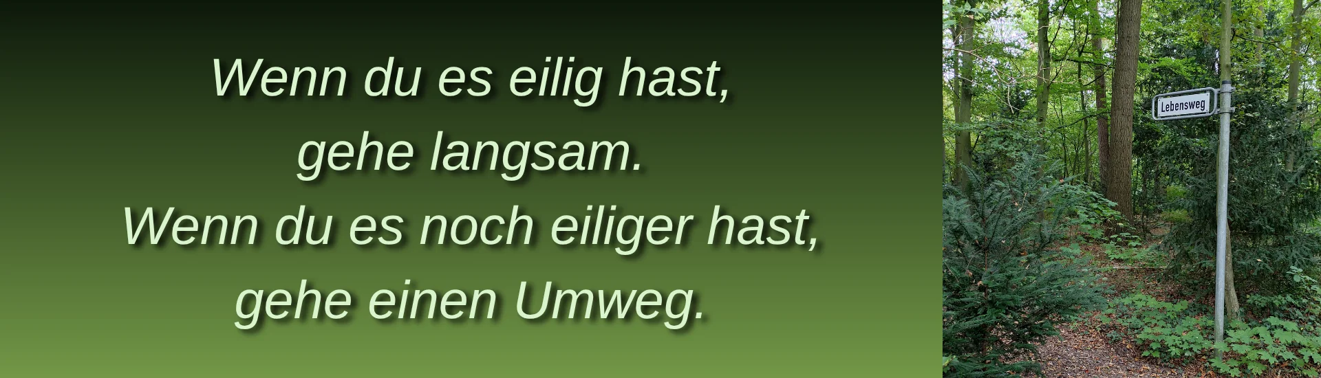 Wenn du es eilig hast, gehe langsam. Wenn du es noch eiliger hast, gehe einen Umweg. | zur Startseite