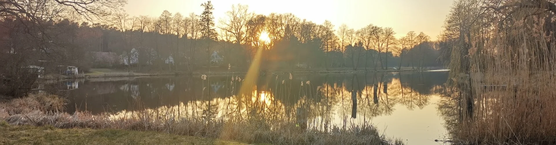 Bannerbild